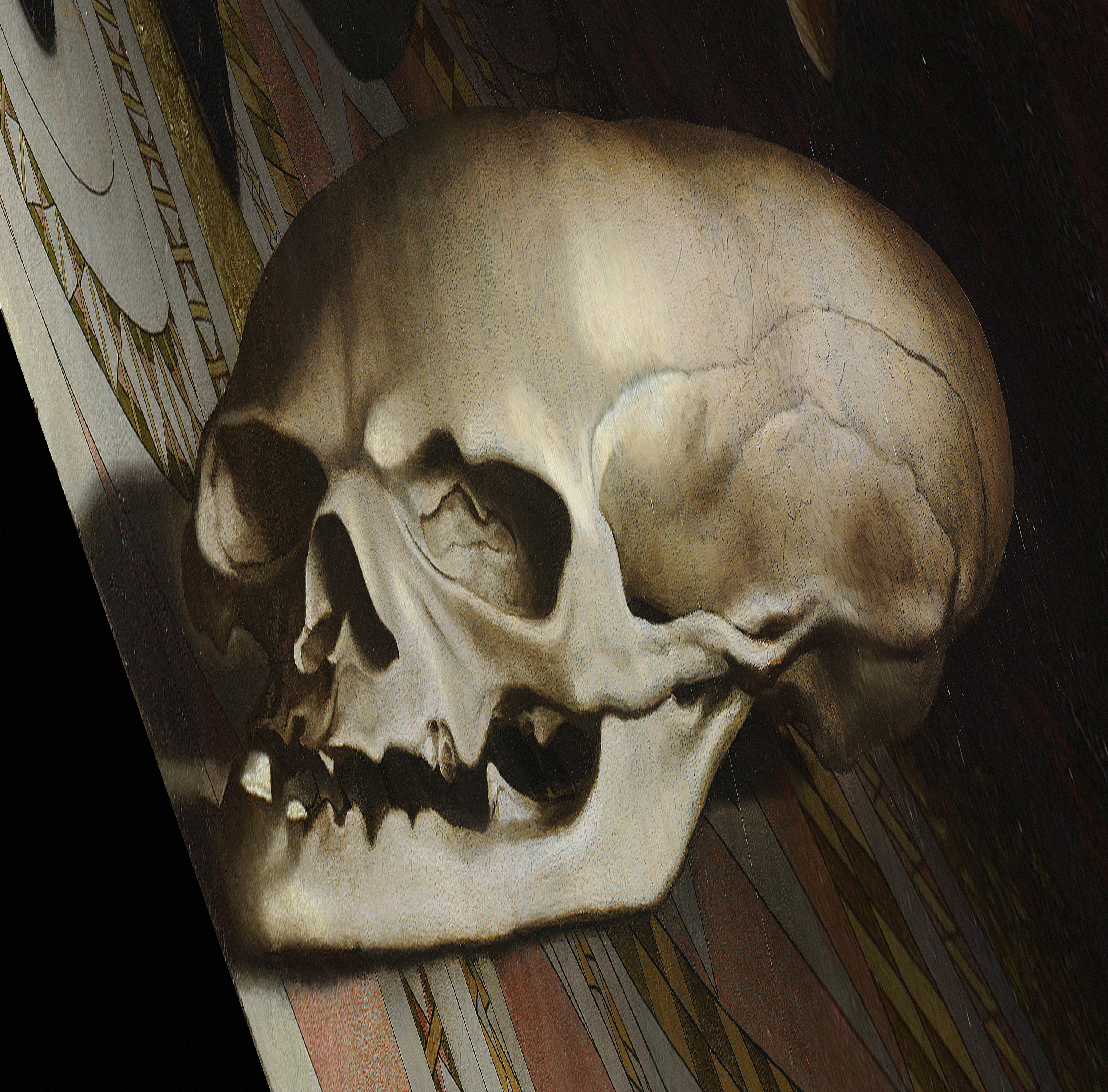 The transformed skull